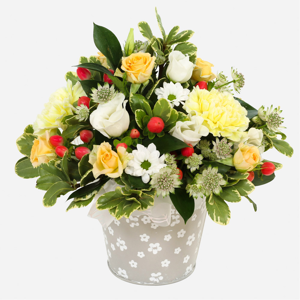 Order Ava Flowers