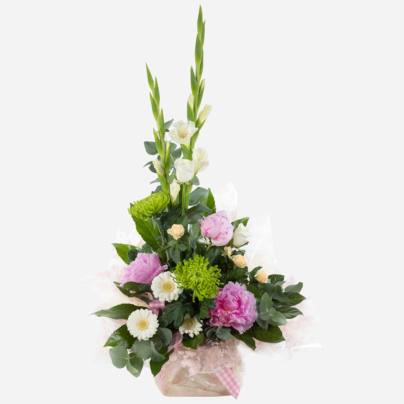  Order High Rise flowers