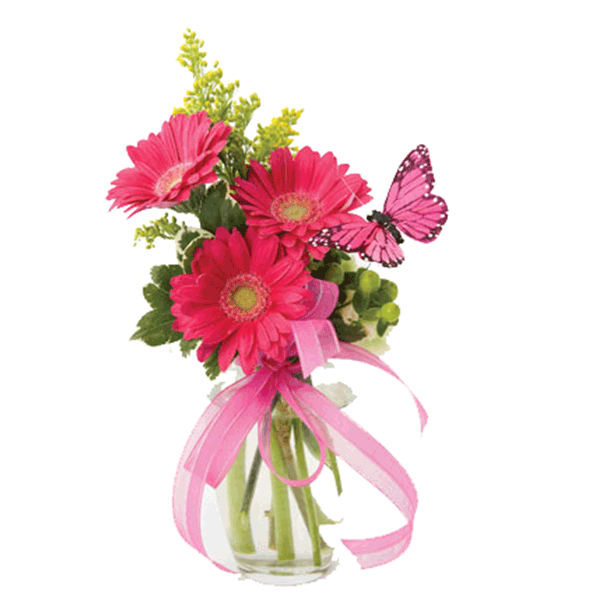 Order Butterfly Kiss flowers