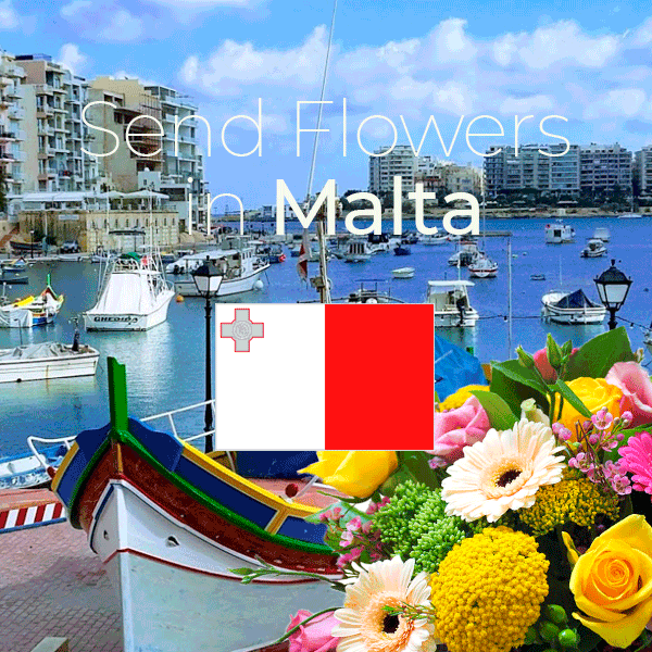 Same Day Flower Delivery in Malta Send Flowers to Malta