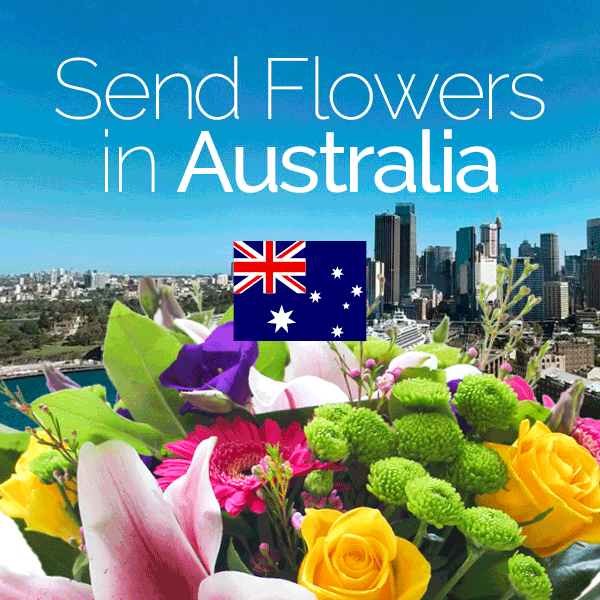 Sameday flowers delivered in Australia