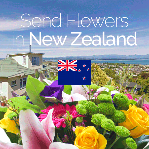 Sameday flowers delivered in New Zealand